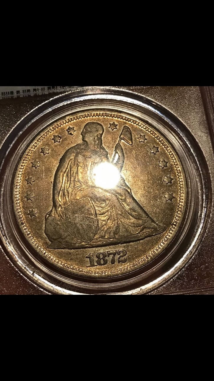 Seated-$1-Coin-Grade-Opinions-You-Vs-TPG