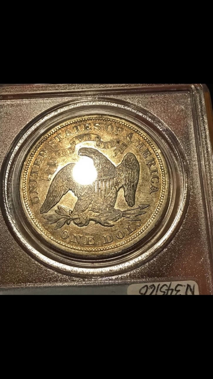 Seated-$1-Coin-Grade-Opinions-You-Vs-TPG