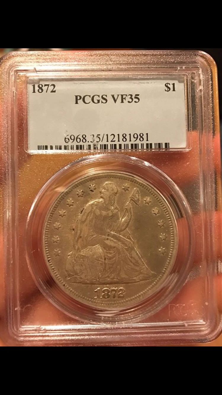 Seated-$1-Coin-Grade-Opinions-You-Vs-TPG