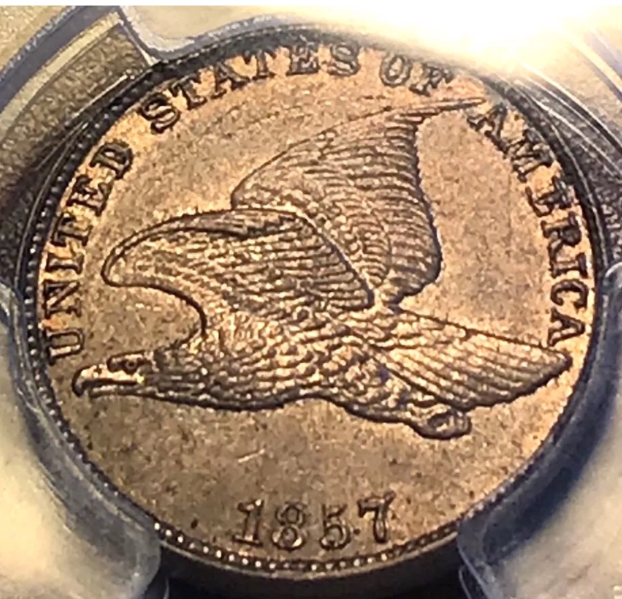 1857-Flying-Eagle-You-Vs-PCGS