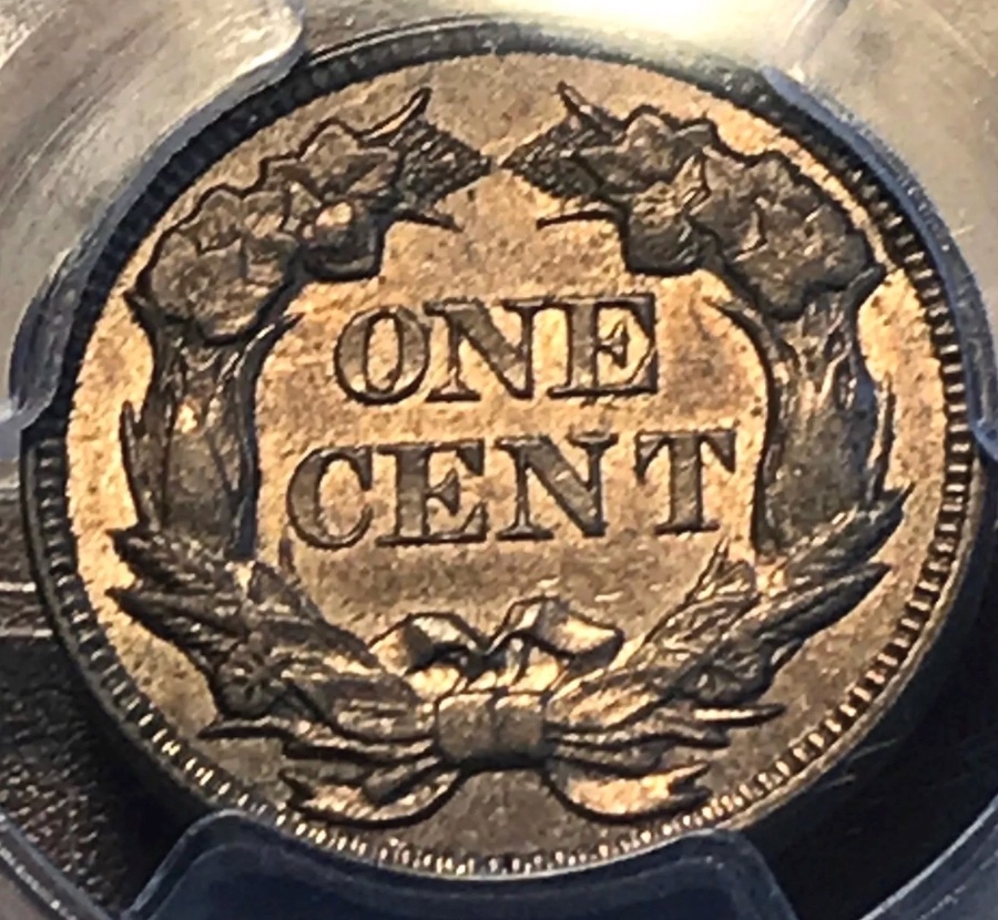 1857-Flying-Eagle-You-Vs-PCGS