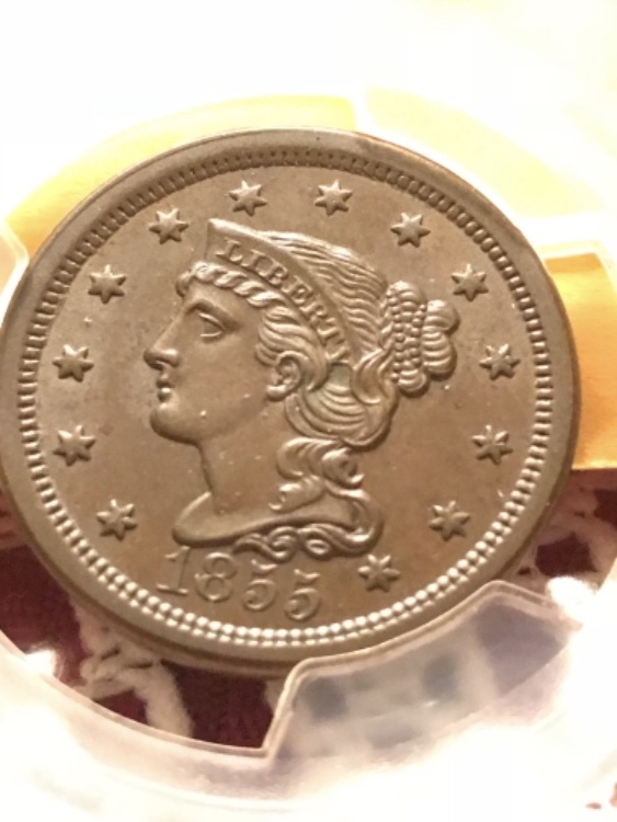 Large-Cent---A-Candidate-For-Verdicare-Treatment?