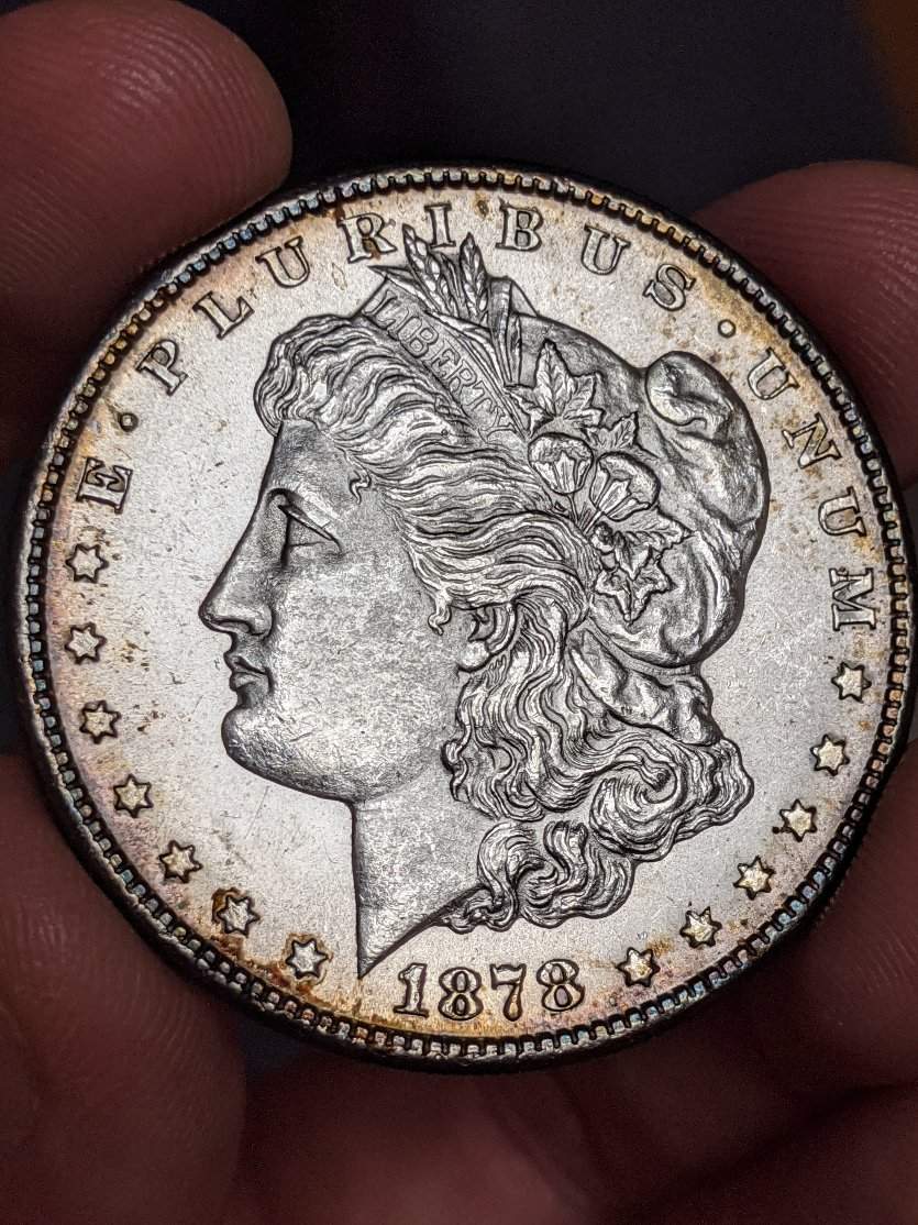 Help-With-1878-S-Morgan-VAM