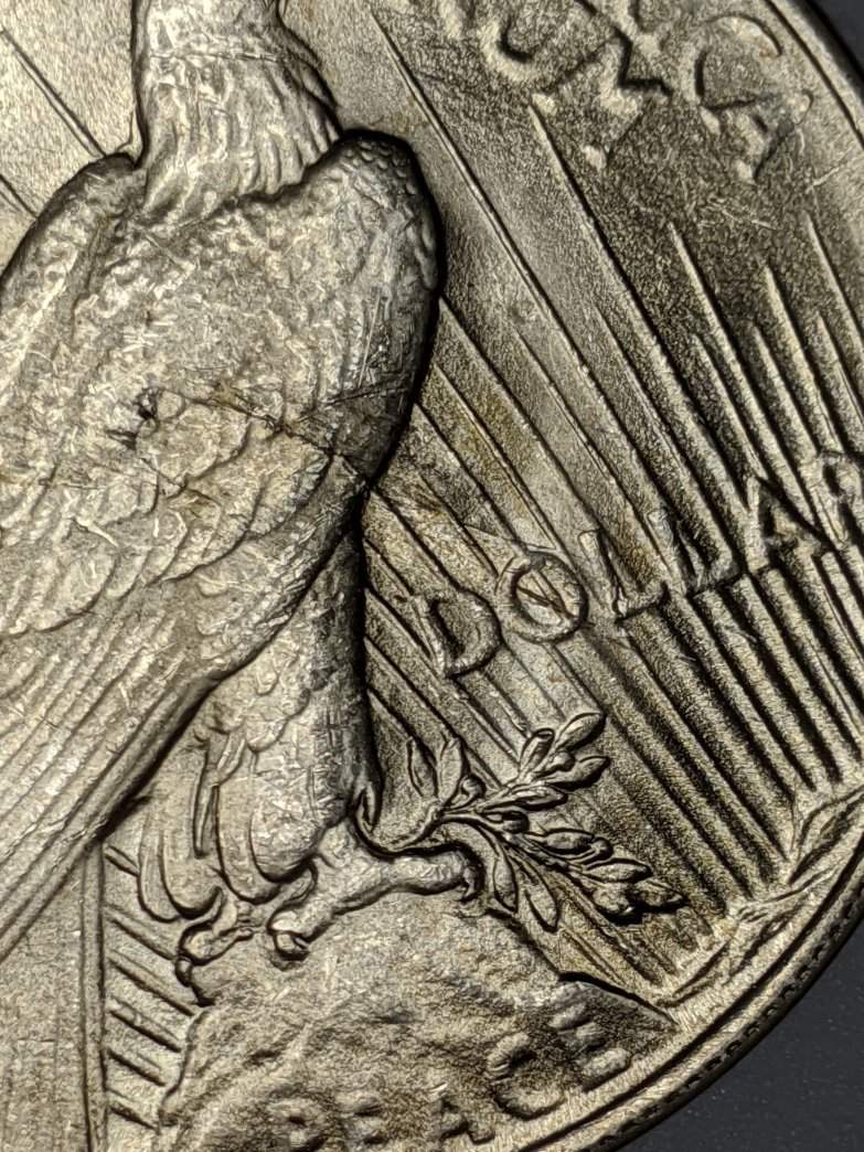 1923-Peace-Dollar-Lamination?