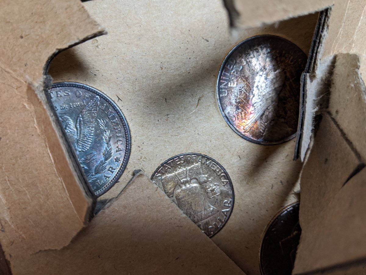Wild-Toning-On-1923-Peace-Dollar