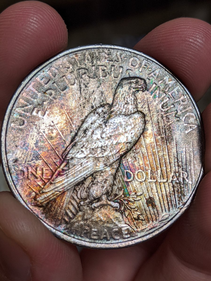 Wild-Toning-On-1923-Peace-Dollar