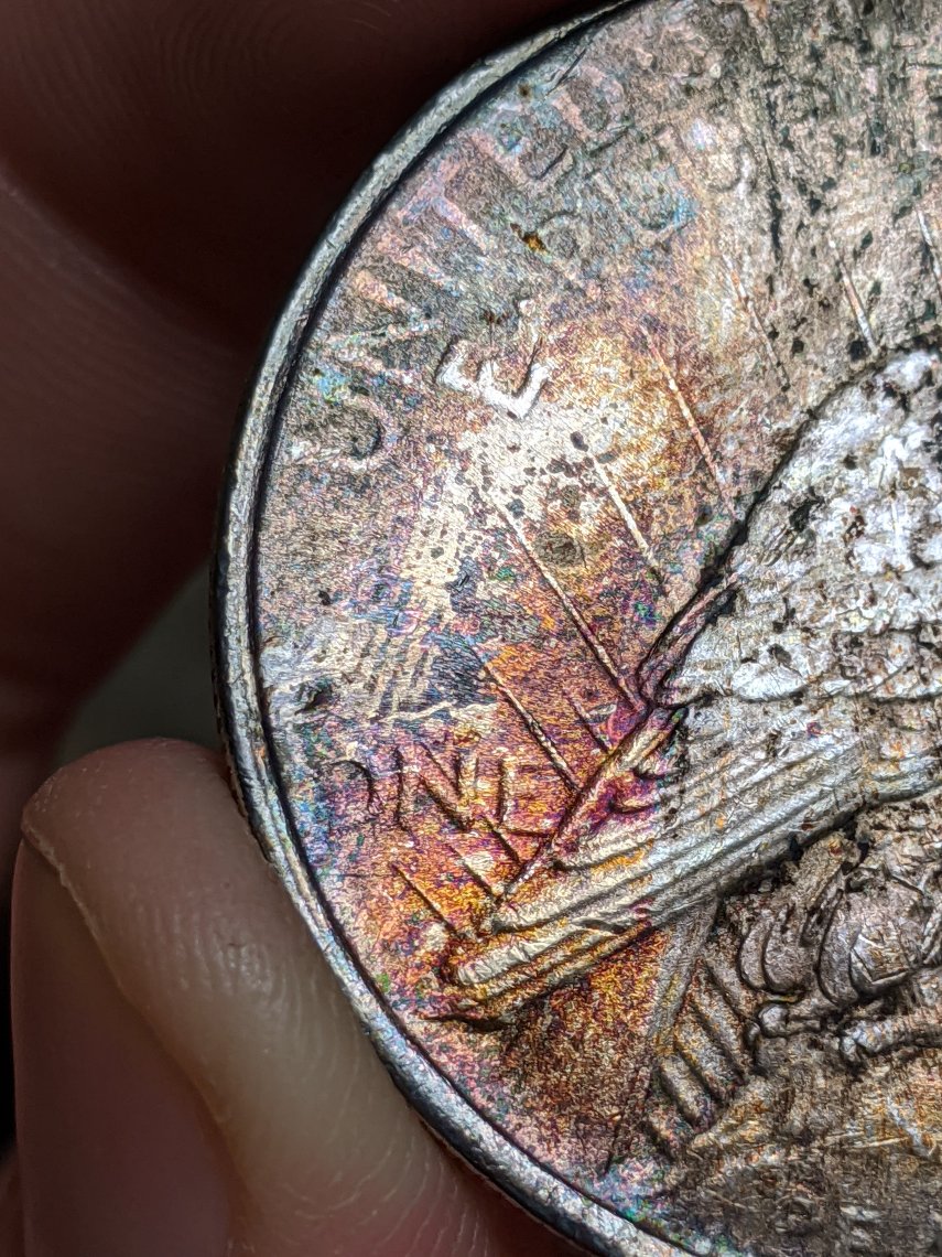 Wild-Toning-On-1923-Peace-Dollar