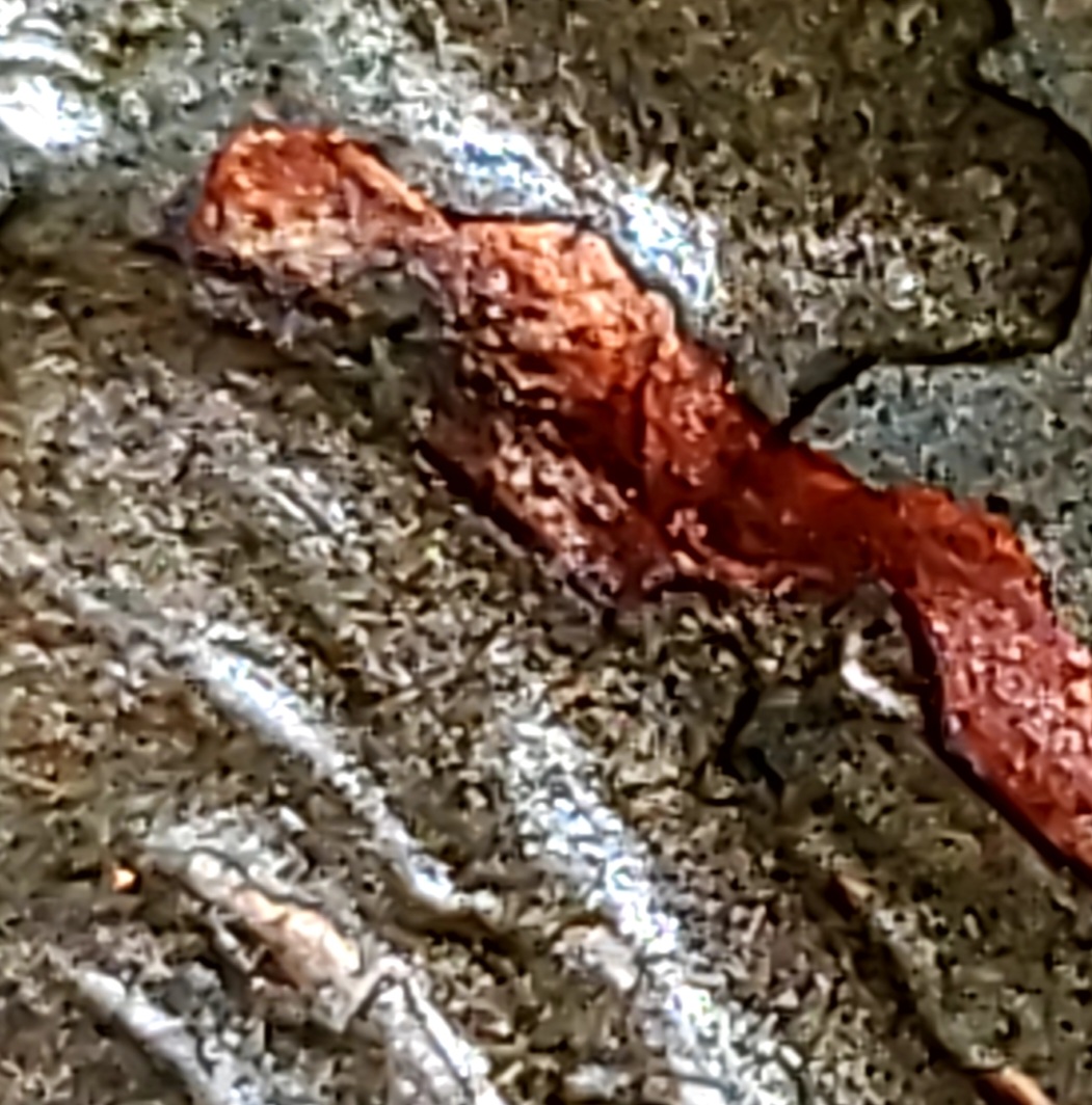1959-D-Lincoln-Cent-Is-This-Normal-Wear-And-Tear?