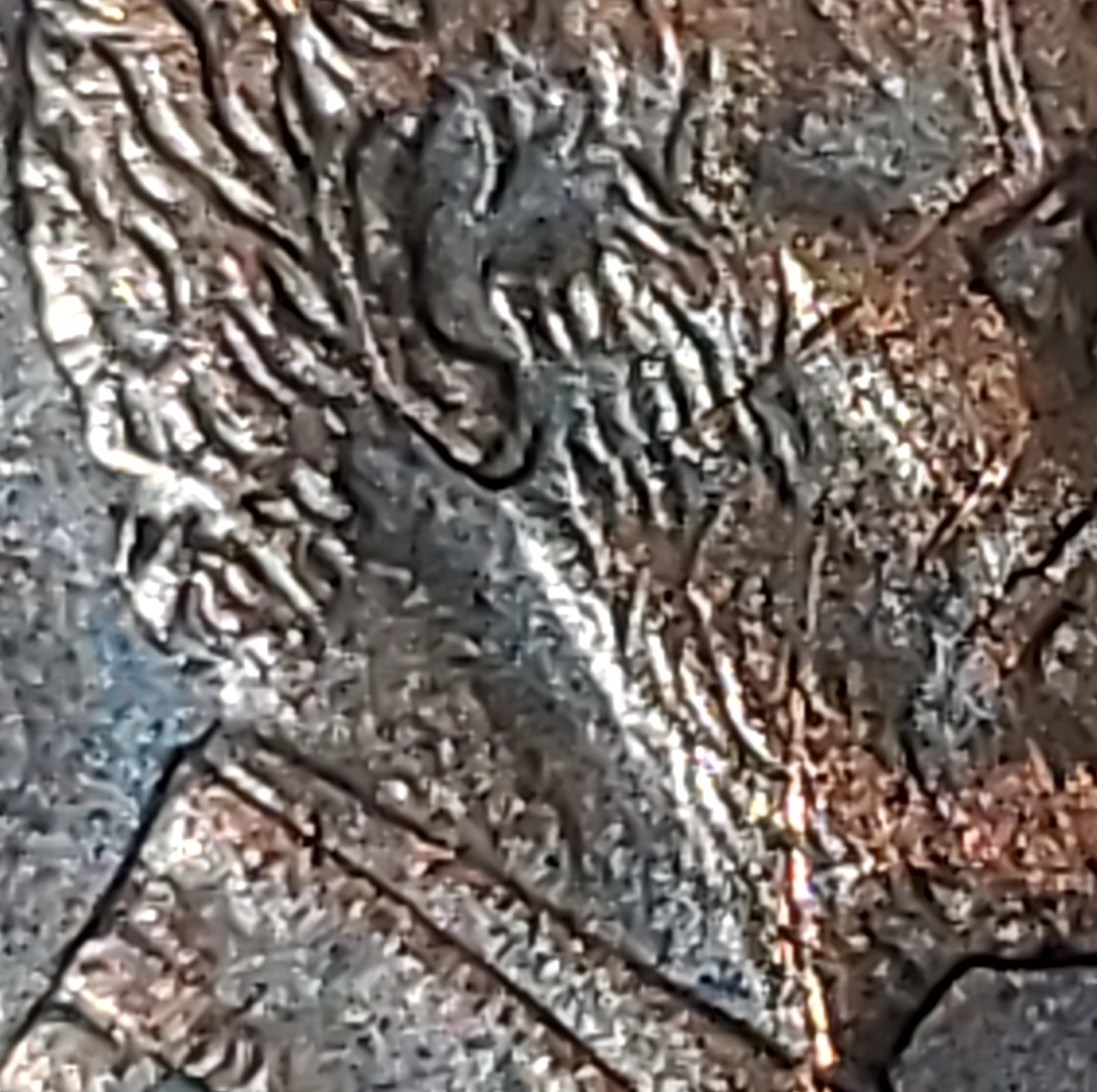 1999-D-Double-Earlobe-Maybe-Not-Sure?