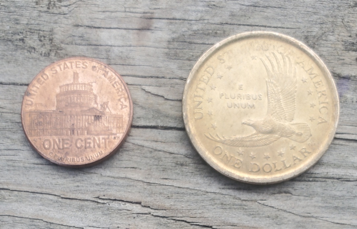 Sacagawea-Dollar-Out-Of-Tolerance-By-2-Grams-Different-Planchet-Maybe?