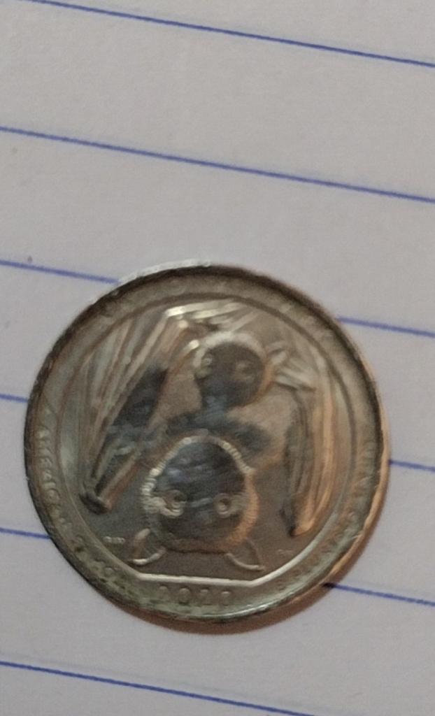 Samoa-National-Park-Quarter