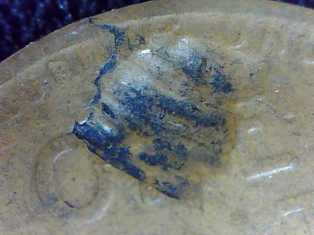 1920-LWC-Nice-Strike-Through