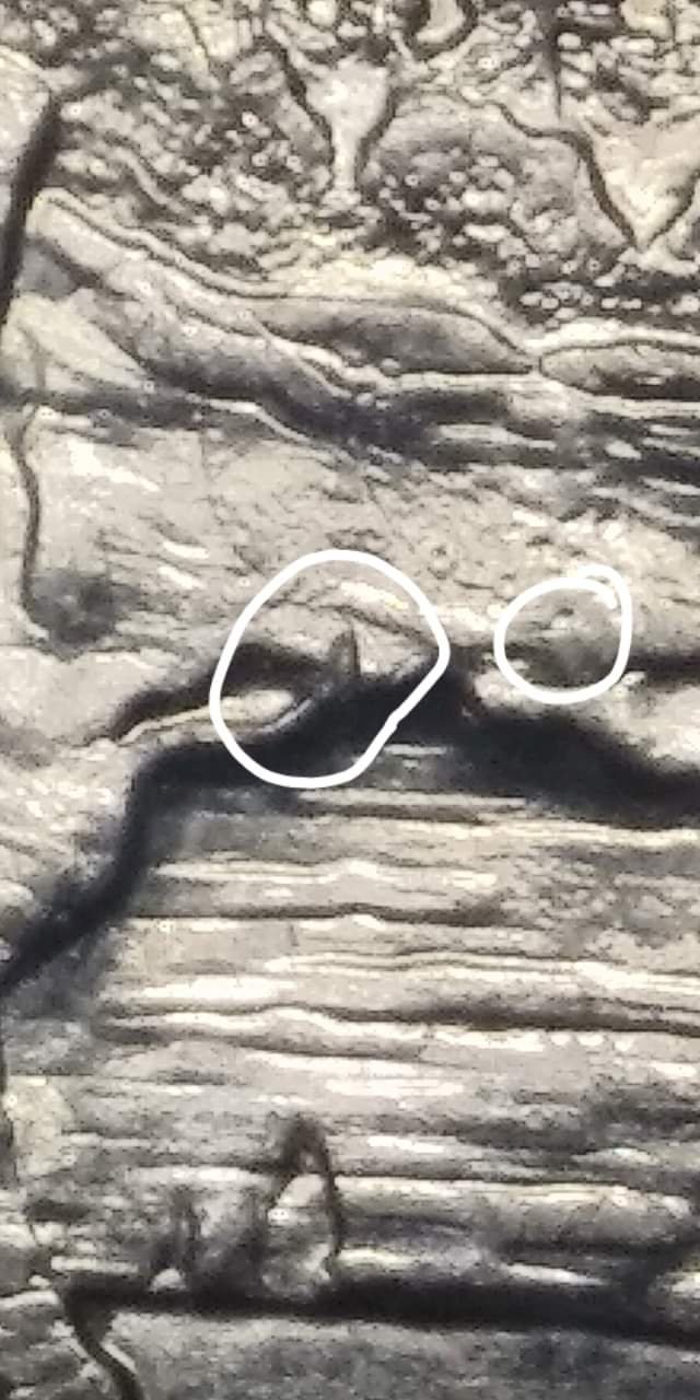 2018-D-Wisconsin-Quarter-With-Errors