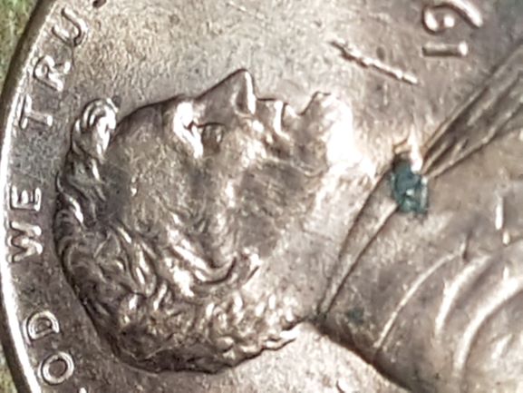 My-Finds-Of-The-Week