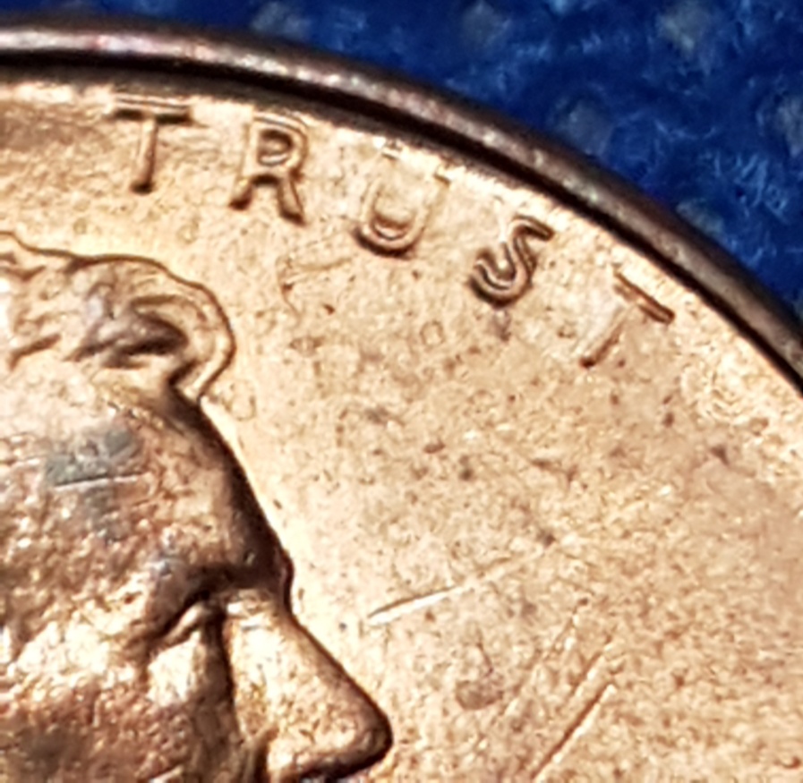 My-Finds-Of-The-Week