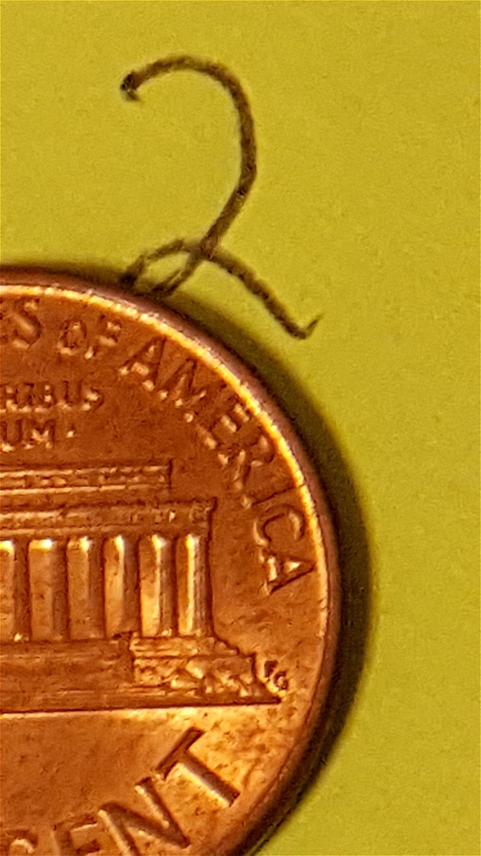 Opinion-For-Close-AM--All-1992-Pennies.-Any-Advice-Would-Be-Helpful.