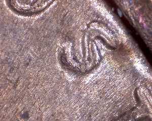 Couple-Different-Finds-Are-They-DDO/Ddr-Or-DDD-Or-MD