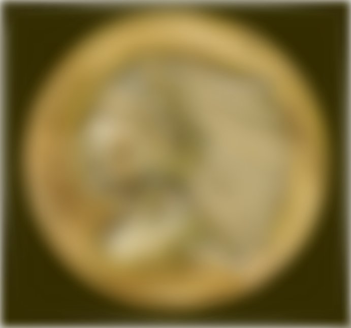 Painting-Morgan-Silver-Dollar!