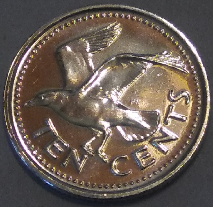 Coinstar-Finds!-Including-Bank-Counters-And-Other-Machines