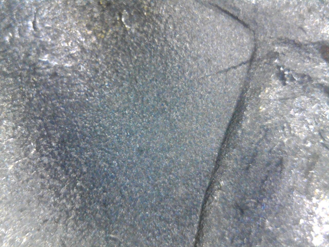 1880-P-VAM?-Not-Sure-Please-Help.