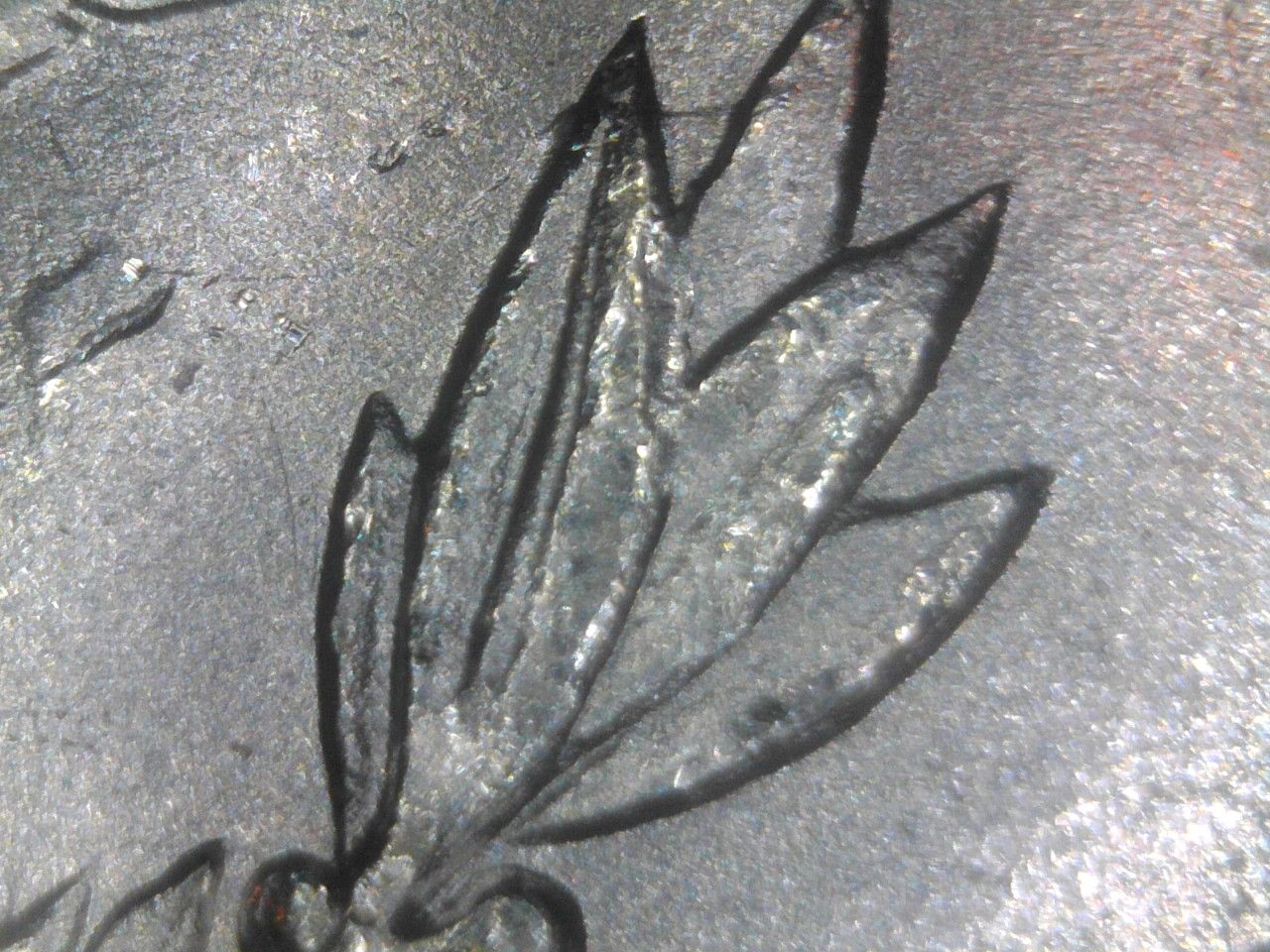 1880-P-VAM?-Not-Sure-Please-Help.