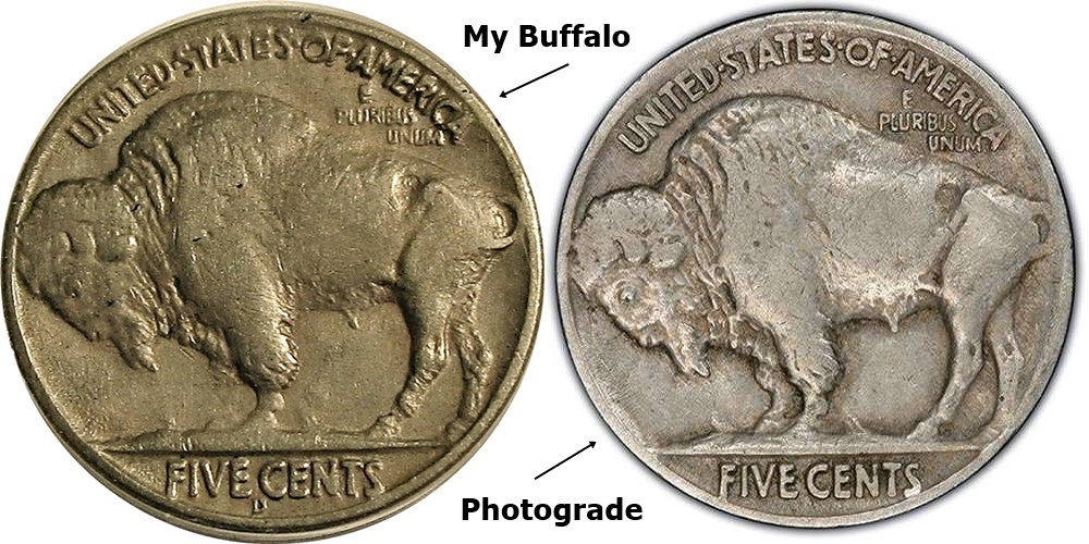 Graded-Buffalo-ANACS-Vs-Photograde