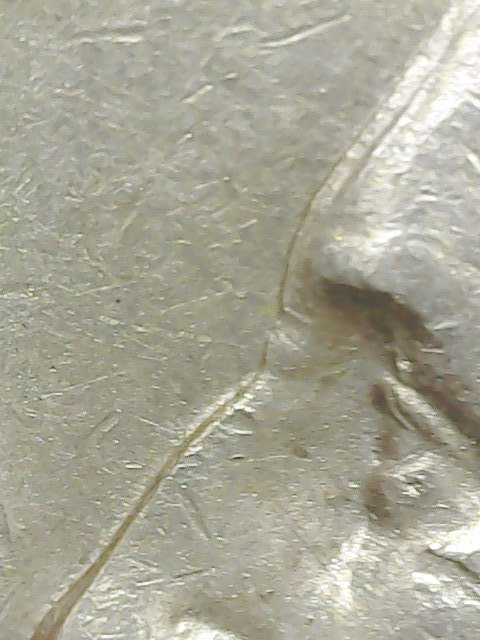 I-Really-Need-Some-Ones-Help.-1994-P-Washington-Quarter
