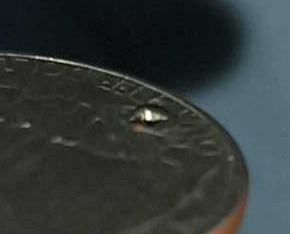 1986-D-Washington-Quarter-With-An-Unusual-Error