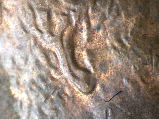 1984-LMC-Possible-New-Doubled-Ear