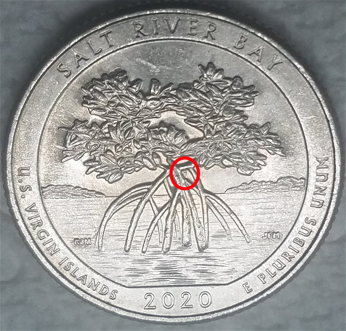 2020-P-Salt-River-Bay-Quarter-Extra-Partial-Branch-On-Reverse?