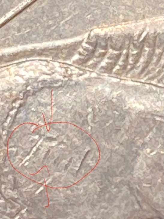 2006-North-Dakota-Q-Error-Or-Damage--Piece-Of-Mountain-In-Buffalos-Back