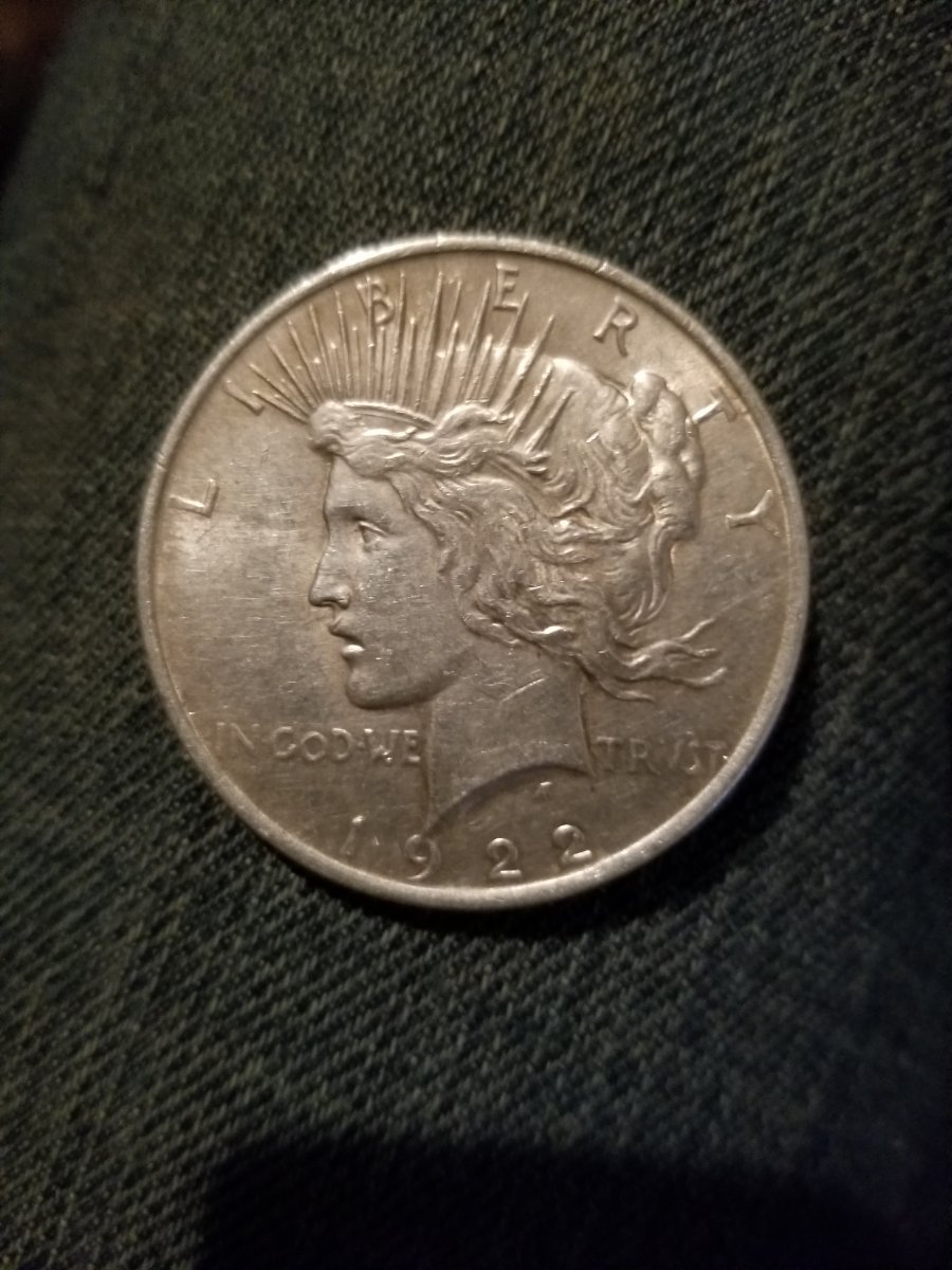 Silver-Dollars-I-Believe?
