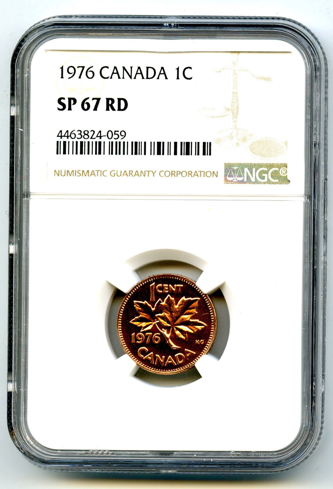 Collecting-Slabbed-Coins-Gone-Overboard