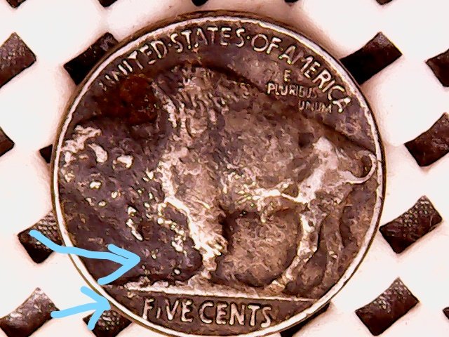 1937-Buffalo-Nickel-Need-Pro-Thoughts-Please