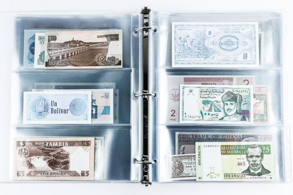 Just-Bought-This-Collection