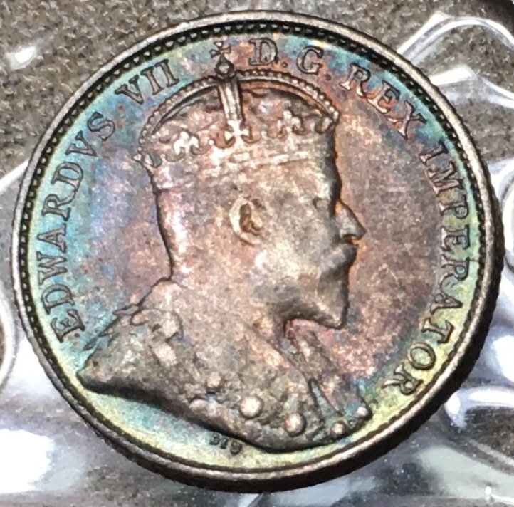 Toned-1903-Newfoundland-5-Cent.-Grade-And-Thoughts-Please?