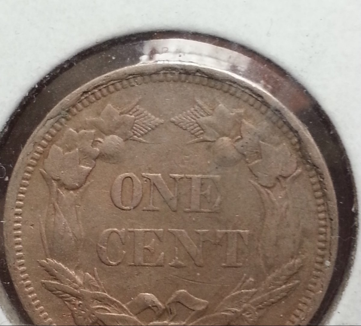 Rim-Cuds-On-1858-Flying-Eagle-Cent-And-1975-D-Nickel?
