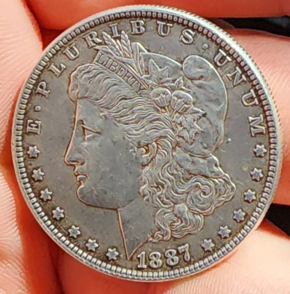 1887-Morgan-Found-While-Fishing-Any-Known-Errors?