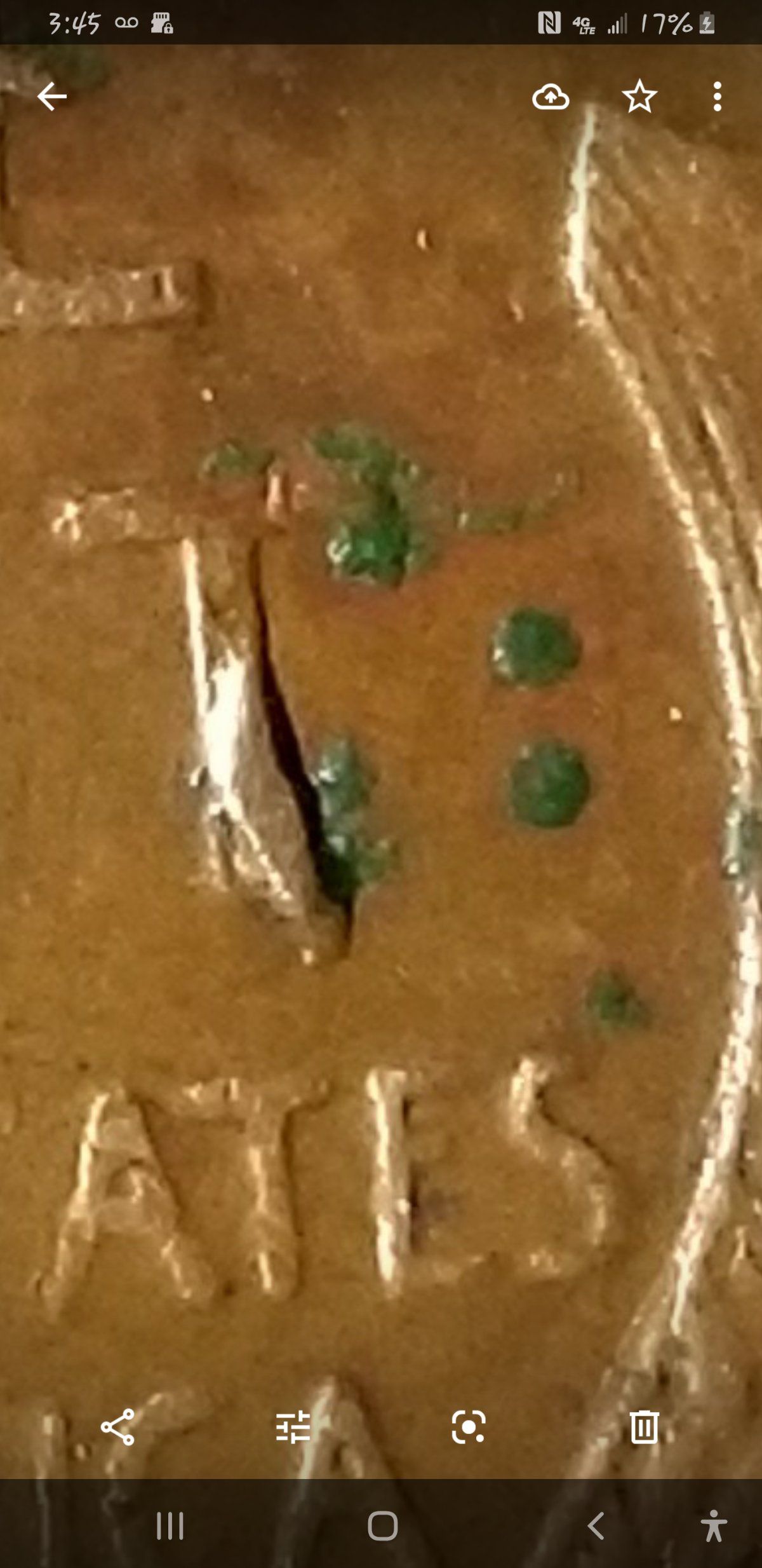 Is-Getting-A-Coin-Graded-The-Only-Way-To-Have-It-Validated.