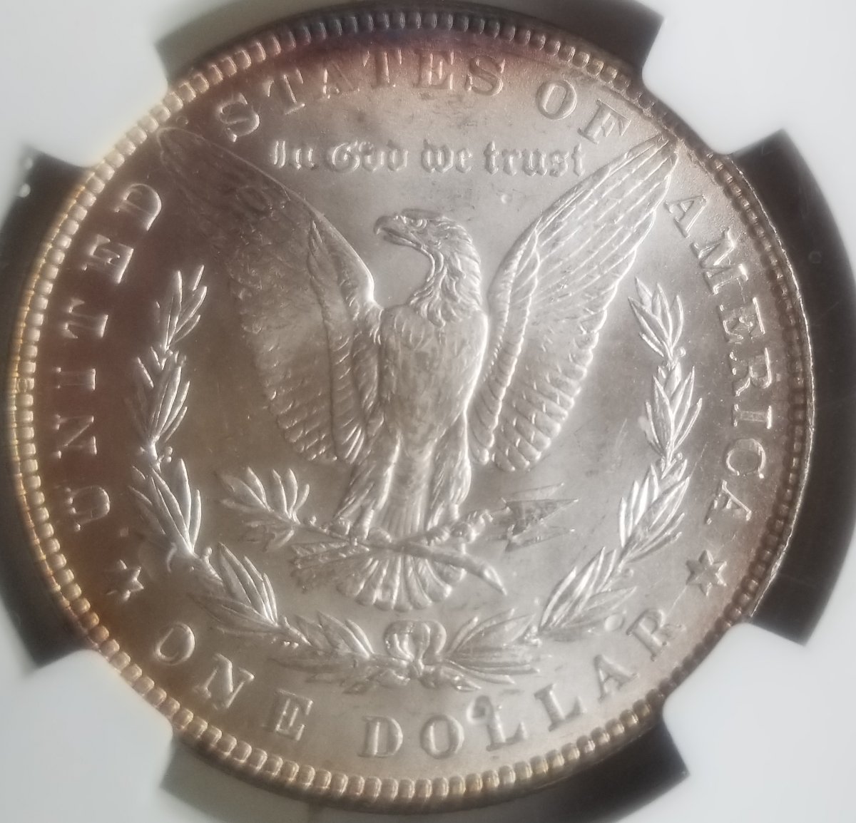 1882-Morgan-For-Grade-NGC