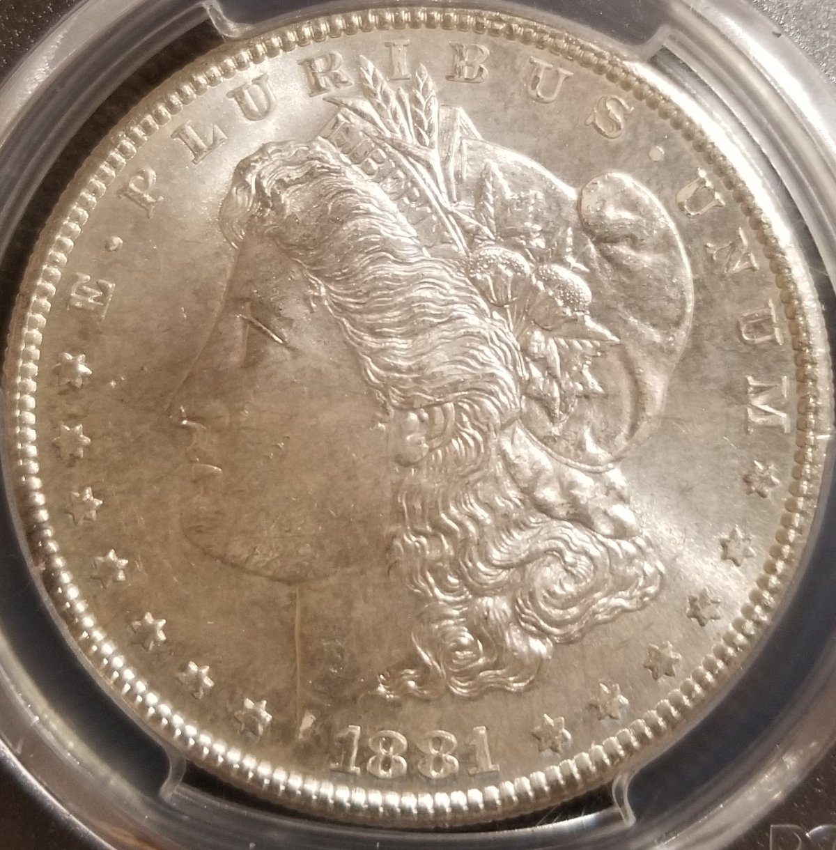 1881-S-Morgan--To-Grade-PCGS-Coin