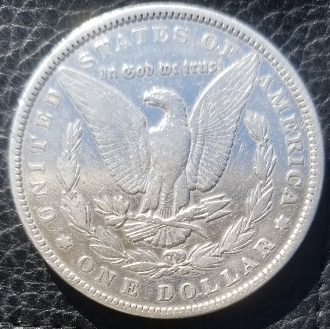 1883-Morgan-Thanks-For-Looking.indents-In-Front-Of-Ear?
