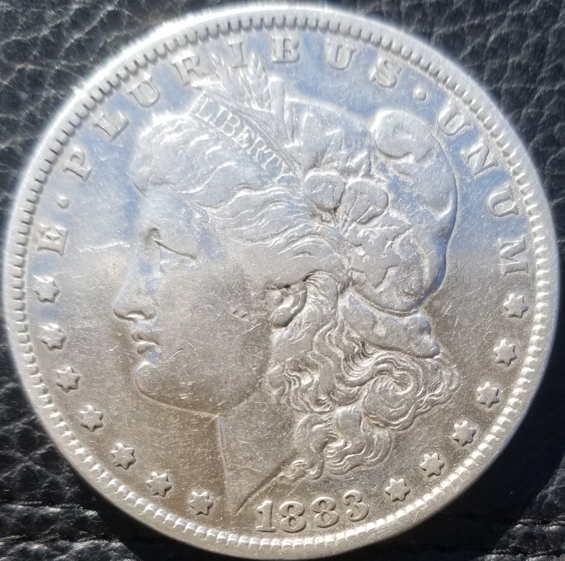 1883-Morgan-Thanks-For-Looking.indents-In-Front-Of-Ear?