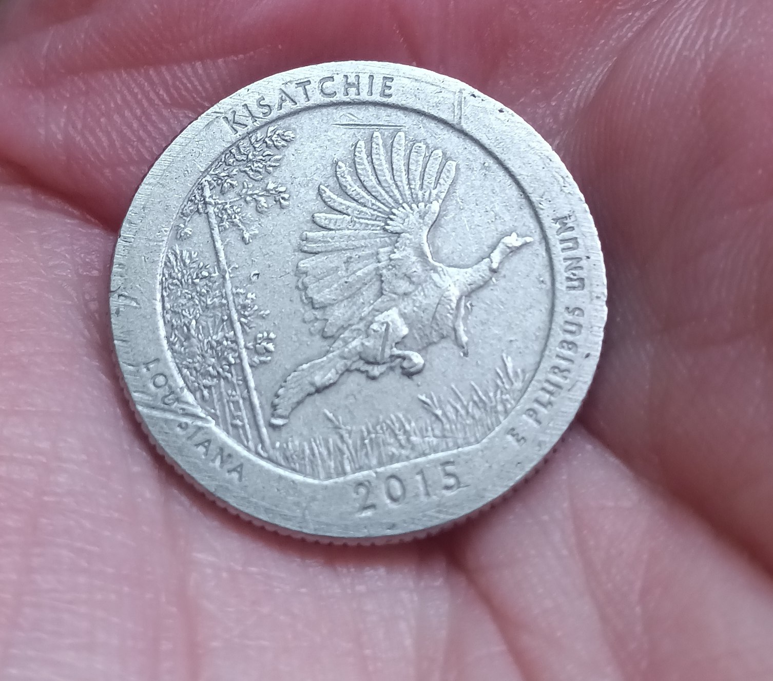 2015-Quarter-Louisiana-With-No-Rim