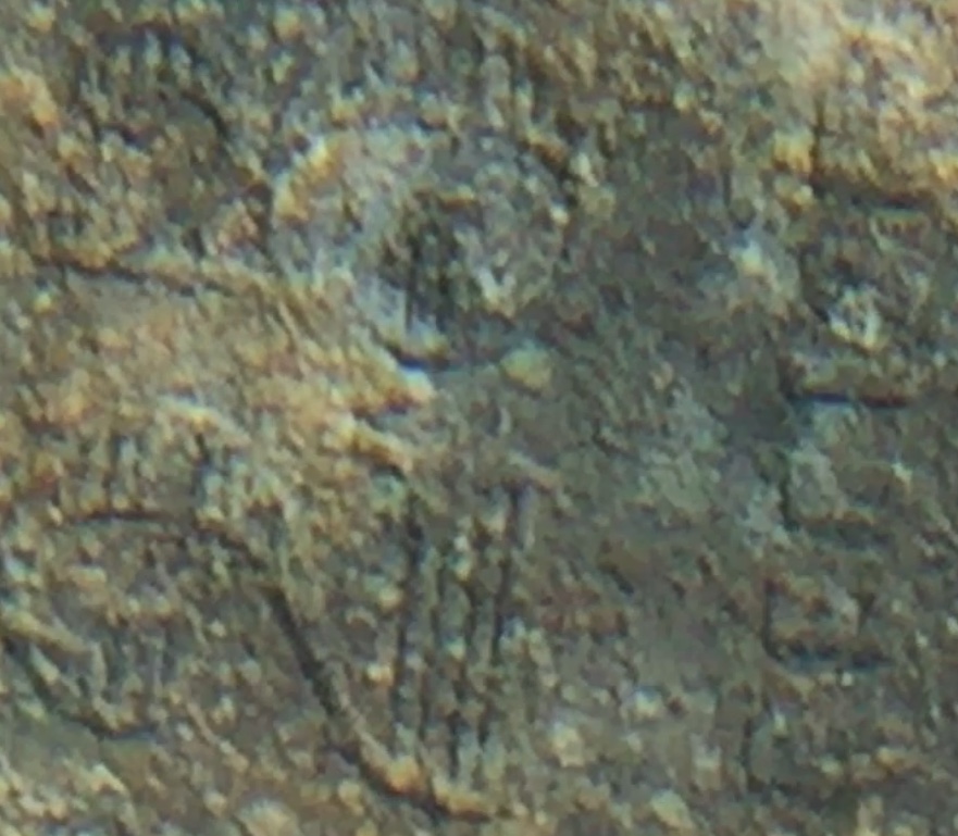 25-Cent-Token-Found-With-Metal-Detector.-Identification-Eludes-Me