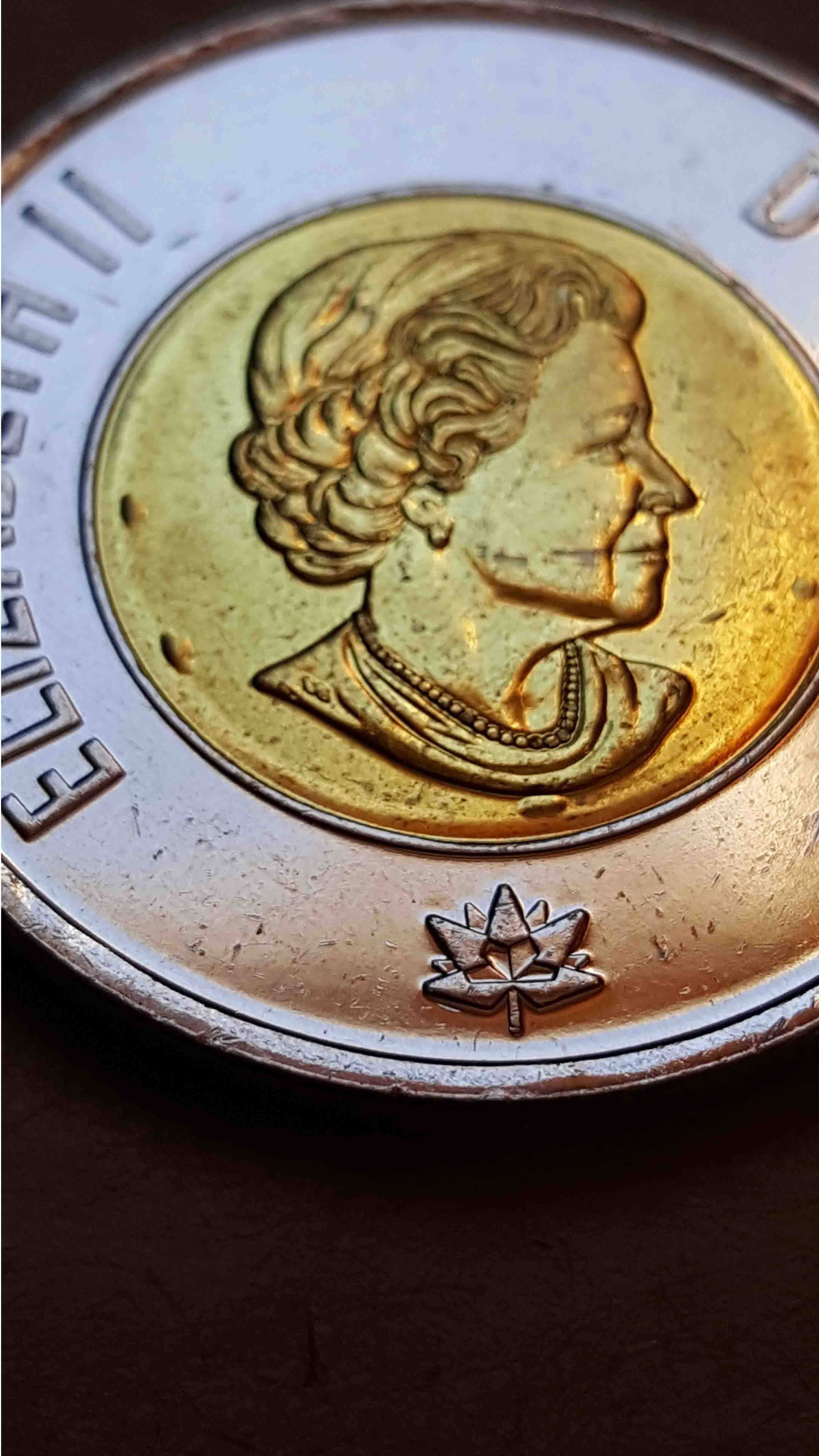 2017-Gitd-Toonie-Snow-Caps?-&-Cud-Errors?