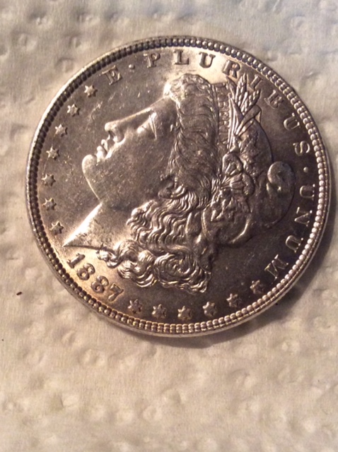 87-Bearded-Bird-.---Couple-Quick-Questions?
