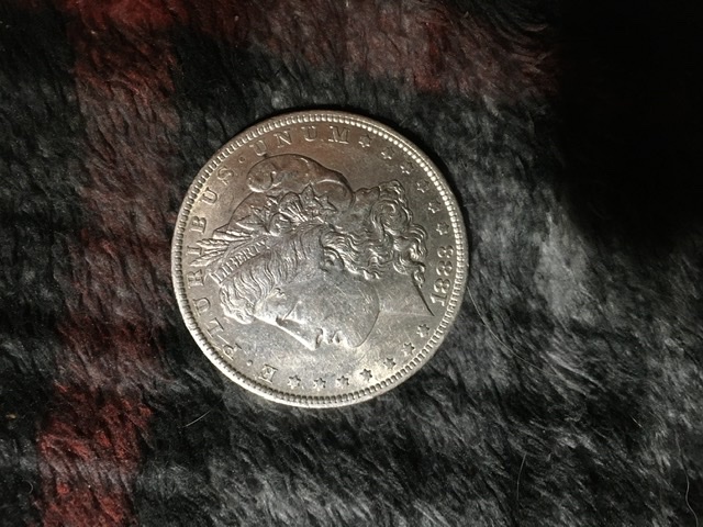 1883-Silver-Dollar-Needs-Grading