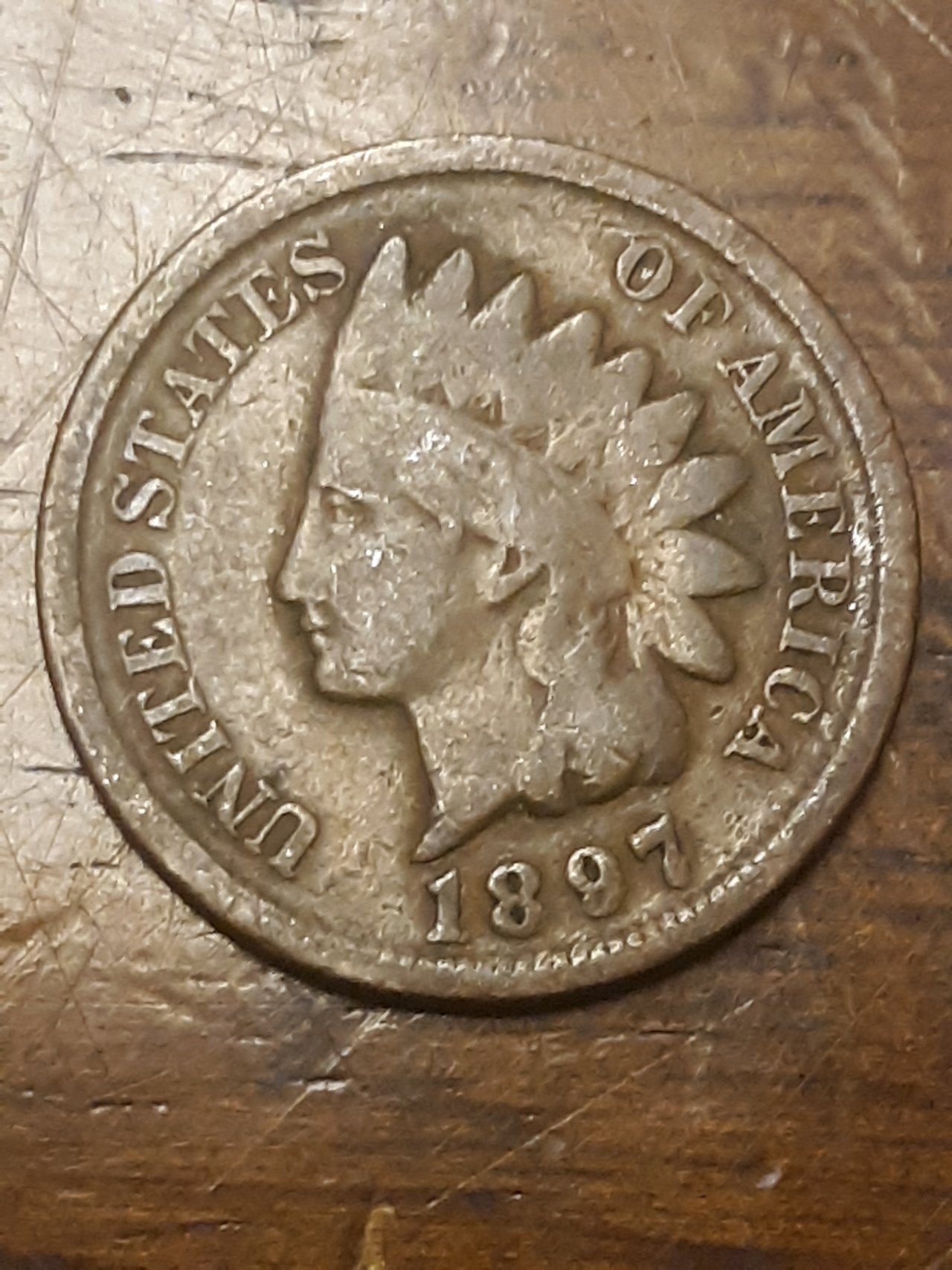 Found-My-First-Indian-Head-Penny.