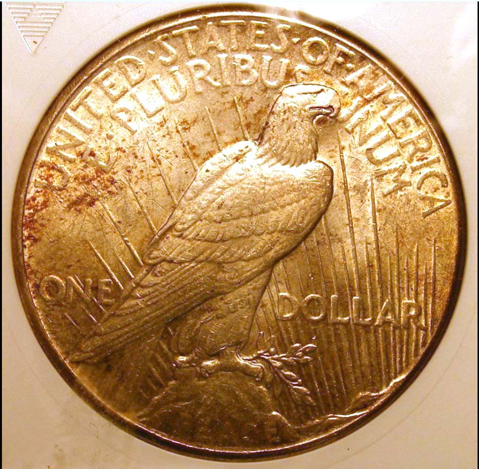 Opinion-On-This-Partially-Toned-1928-Peace-Dollar?